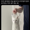 홍소 이미지