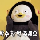 데상트롯데