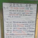 바른체형 요가A반 | 인천체형교정 부모님 효도 코스! ‘바른자세체형교정’ 척추측만증 맞춤 관리 후기 척추 밸런스 회복