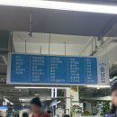 [의정부 맛집] 요즘 핫한 의정부 제일시장 지하던전 '충남집' 솔직후기 (ft. 전현무계획 촬영 목격담!)