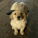 곡성-202 | 지금껏 그랬듯 앞으로도 계속 (12월 일기)