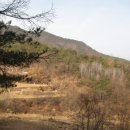 영주강동리마애보살입상 이미지