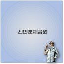 길천사거리 | 신안 천사섬 분재공원 동백 입장료 맛집 반려견까지 완벽 정리