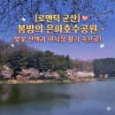 화랑유원지(호수주위 공원쪽) | 군산 벚꽃 명소 은파호수공원 벚꽃 산책 벚꽃야시장 방문 후기