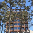 하운드PC | [보령] 전실 오션뷰!! 바베큐에 불멍까지!! 하운드호텔 대천