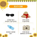 함안떡집 | 함안 해바라기축제 일정 | 강주마을 주차장·입장료·셔틀버스까지 총정리