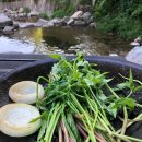 으지네민박 이미지