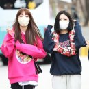 순수미