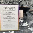 대전 신세계 브랜드 방문 후기 : 셀린느, 메종마르지엘라, 르메르, 버버리