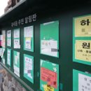 곰팡이사무소