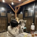 리니스 하우스 이미지