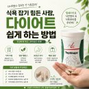 더쉐이프 | 식욕 잡기 힘든 사람, 다이어트 쉽게 하는 방법 (탑쉐이프후기)