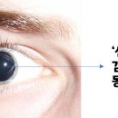 마이오 이미지