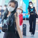 플랩