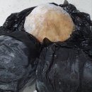 이금옥순두부 이미지