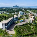 벵가스테이 이미지