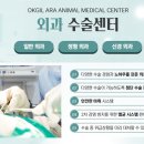 옥길아라동물의료센터 이미지