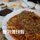 용인 김량장동 맛집 뿅가명태찜 밥도둑 명태찜 맛집