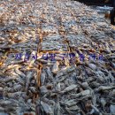 부산곰장어 이미지