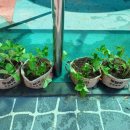 조천초등학교 병설유치원 이미지