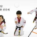 브레인태권도장 이미지