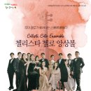 첼로 매일신문