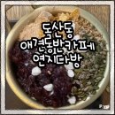 독산로68길 | [연지다방] 레트로한 감성의 독산동 애견동반카페 연지다방 솔직후기