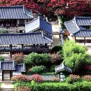 풍일로(풍천면) 이미지