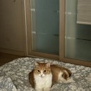 피자나라 치킨공주(대곡유천점)