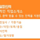 알파인력소개소