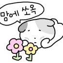 오차드스트릿커피 이미지