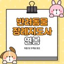 반려동물장례지도사 연봉, 취업 및 자격증 정리