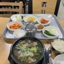 비아장터 이미지