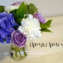 플라젠트