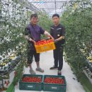 고성군농업기술센터 이미지