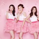 슈러브