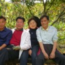 대화중학교 이미지