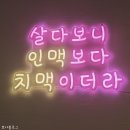 복스구이 이미지