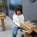 톱질하는고양이 이미지