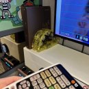 락휴 코인노래연습장 홍대연남점 이미지