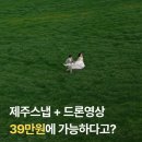 비마이뮤즈 | 제주 웨딩 스냅 비마이뮤즈 핀터레스트 무드 계약완료 후기