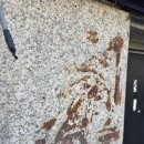 청운약품 이미지