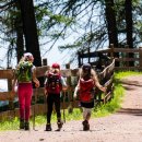 설레인 별 이미지