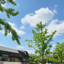 서울강덕초등학교 이미지