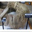 농업기술센터(농업전시관) 이미지