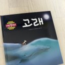 주원고래 이미지