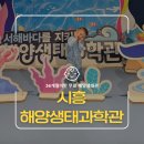 해양생태전시관 | 시흥 해양생태과학관 후기 | 아이와 저렴하게 아쿠아리움 즐기기 (예약필수!)