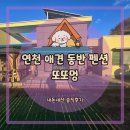 더블스테이 또또멍 애견펜션 | 연천 애견동반 더블스테이 또또멍 펜션, 독채에서 최고의 하루