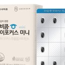 아이포커스