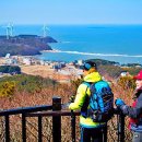 아는 사람만 몰래 찾아간다는 국내 섬의 정체 이미지